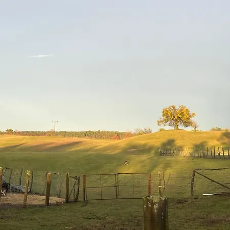 Kleine Backsteinloft Apartment