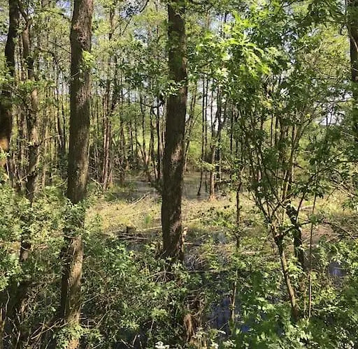 Kleine Backsteinloft Lägenhet *