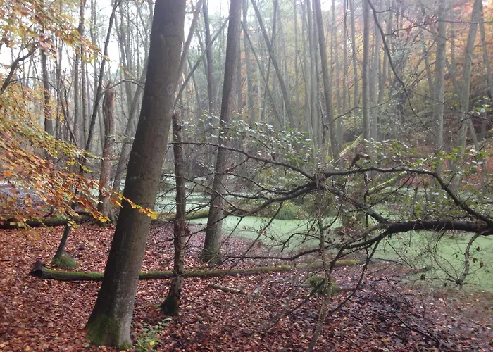 Lägenhet Kleine Backsteinloft *