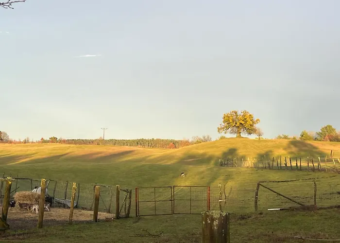 Kleine Backsteinloft Lägenhet